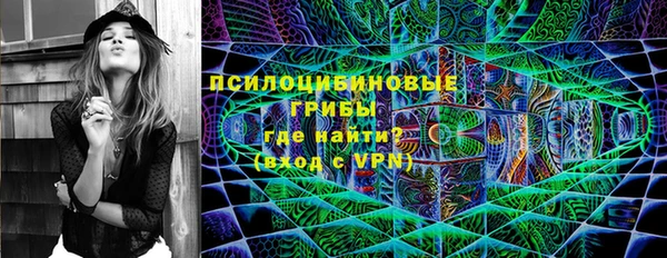 гидропоника Абаза