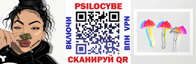 Псилоцибиновые грибы Psilocybine cubensis  продажа наркотиков  Дубовка 